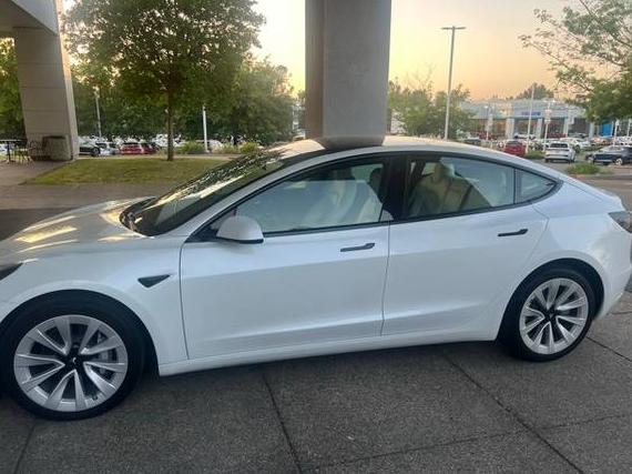 TESLA MODEL 3 2022 5YJ3E1EB3NF295506 image
